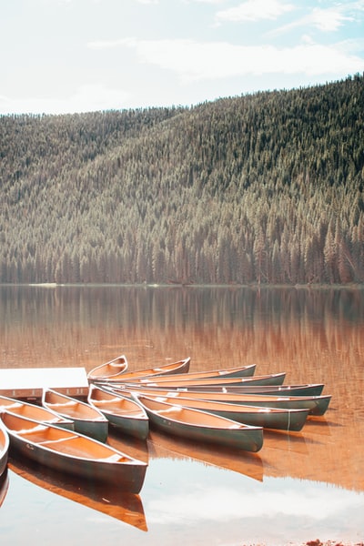 白天湖上的棕色木船